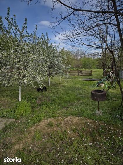 Casă cu 2 camere cu Teren 80 Mp în Alexeni