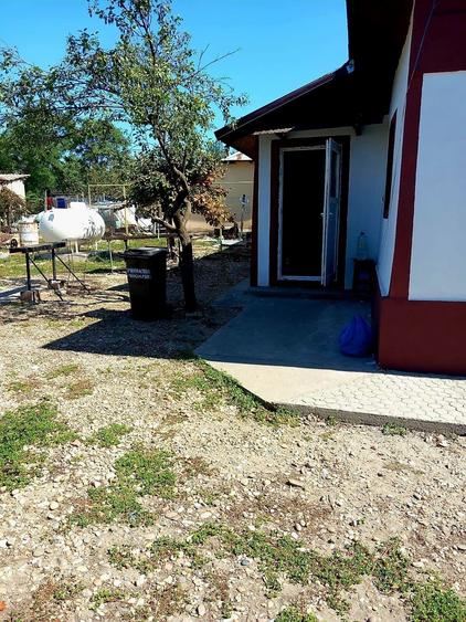 Casa spatioasa comuna Furculesti, judetul Teleorman - 4
