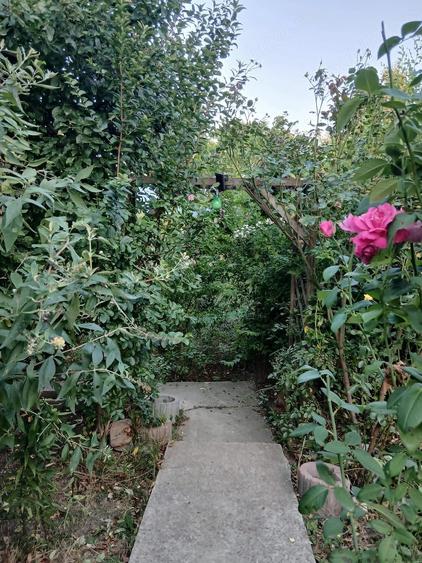 Casă cu 2 camere cu Teren 1050 Mp în Buda