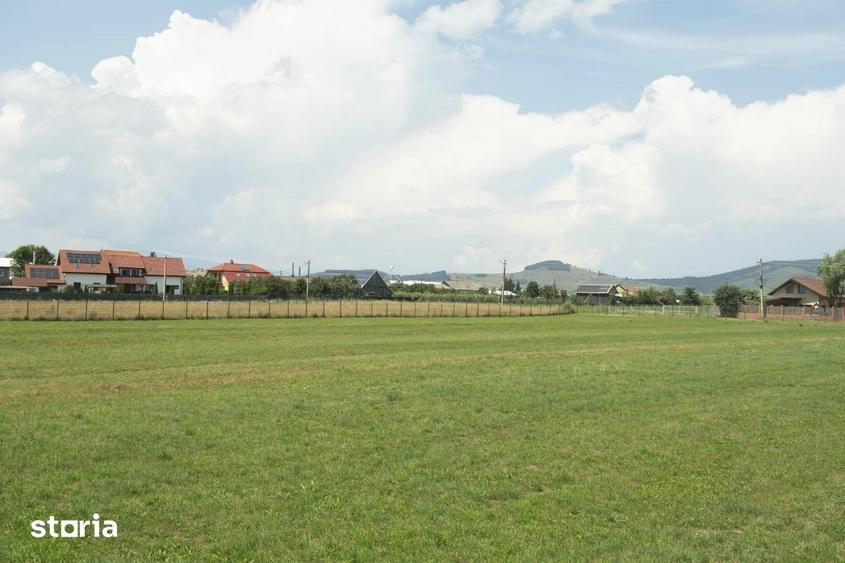 Teren de 9398 mp, în Gheorgheni
