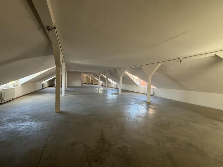 Spațiu comercial, de 1,600 mp, în Cetate
