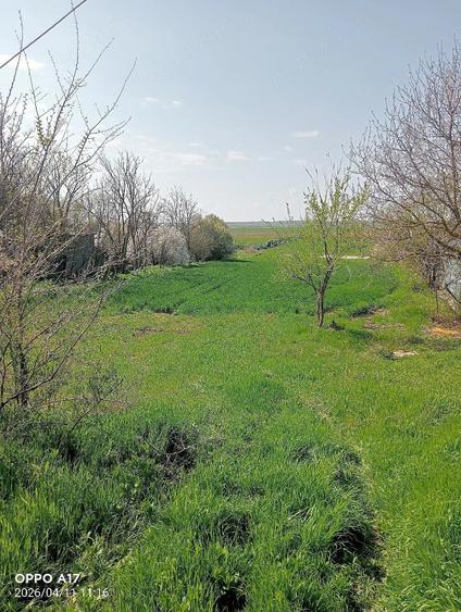 Teren de 6300 mp, în Vasile Alecsandri