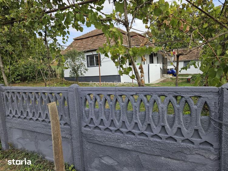 Casă cu 4 camere cu Teren 33000 Mp în Valea