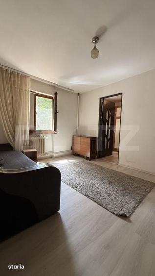 Apartament cu 2 camere semidecomandat în Mureșeni