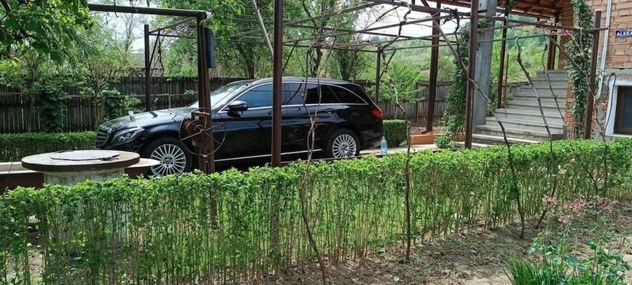 Casă cu 3 camere cu Teren 1800 Mp în Piscoiu
