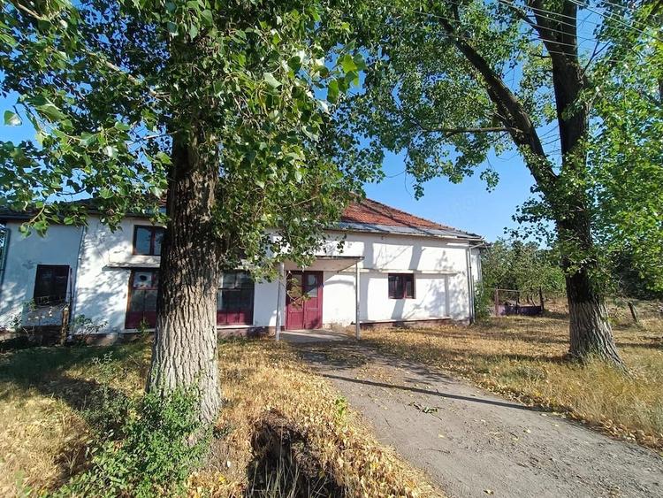 Teren de 69199 mp, în Olari