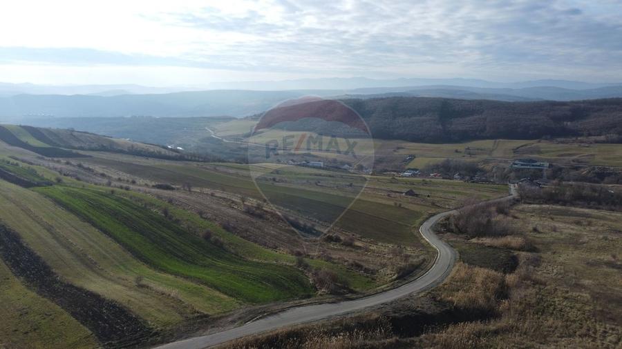 Teren agricol extravilan de 68403 mp, în Popești