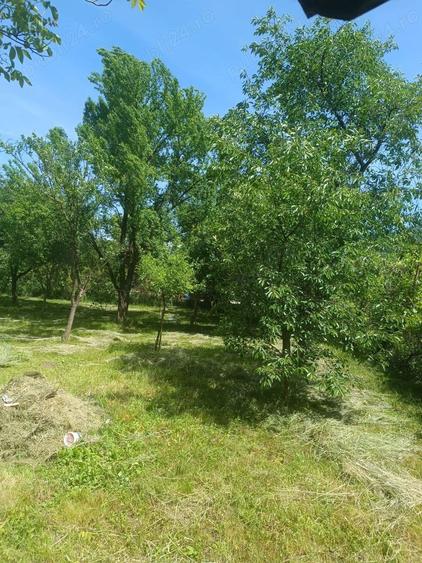 Casă cu 4 camere cu Teren 1300 Mp în Central