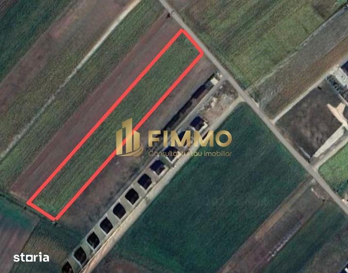 Teren de 5000 mp, în Moara