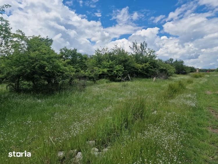 Teren de 3006 mp, în Mărășești