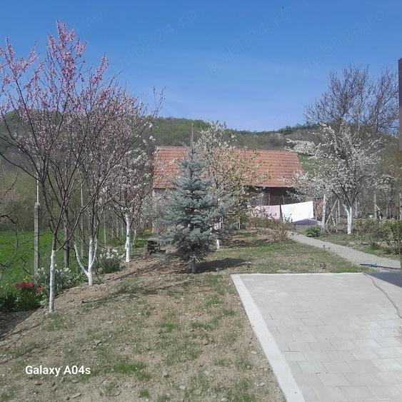 Casă cu 3 camere cu Teren 1400 Mp în Amnaș