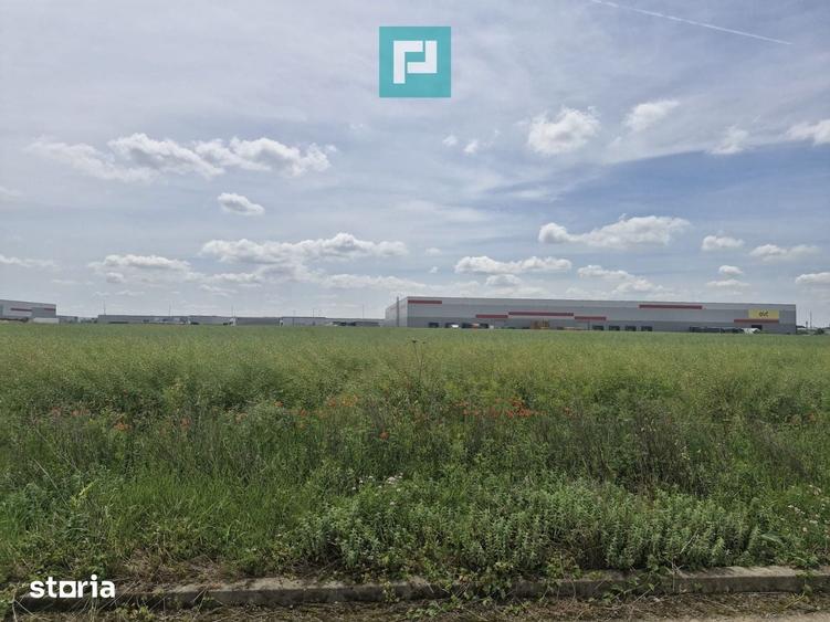 Teren industrial Giarmata | Logistica & Produc?ie - 4