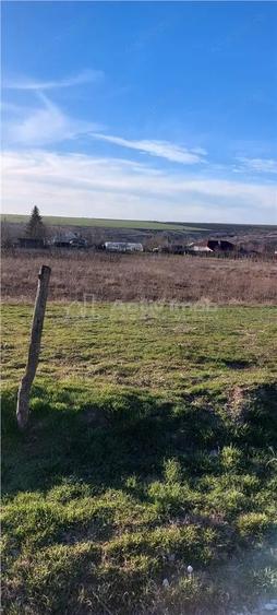 Teren de 1392 mp, în Odaia Manolache