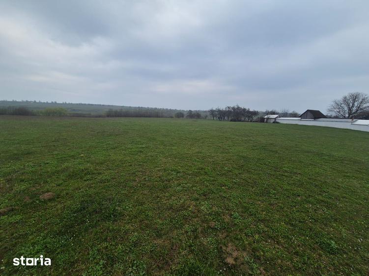 Teren de 2200 mp, în Mitocu Dragomirnei