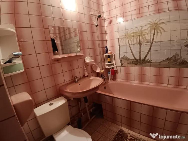 Apartament cu 2 Camere Decomandate in Burdujeni - 4