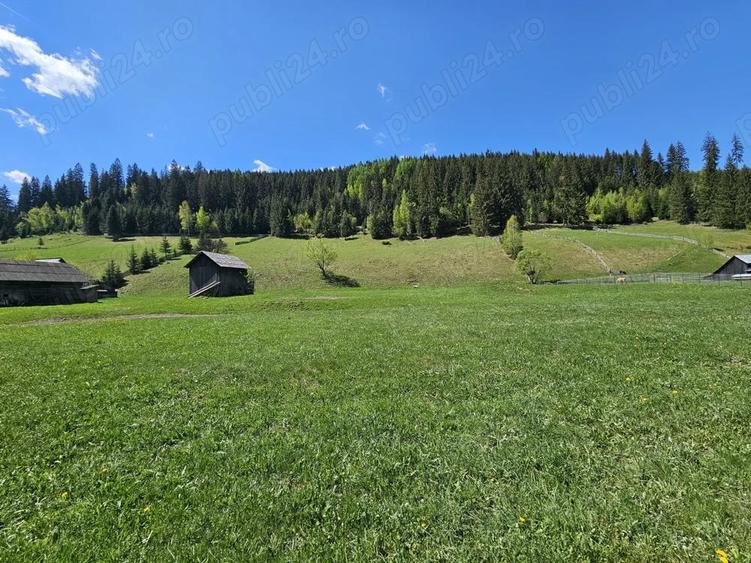 Teren de 5350 mp, în Pojorâta