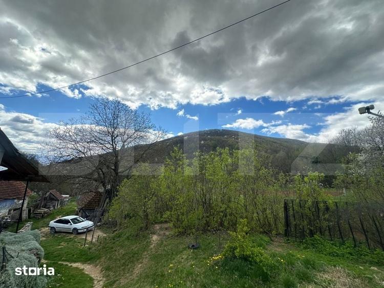 Casă cu 4 camere cu Teren 12186 Mp în Rapoltu Mare