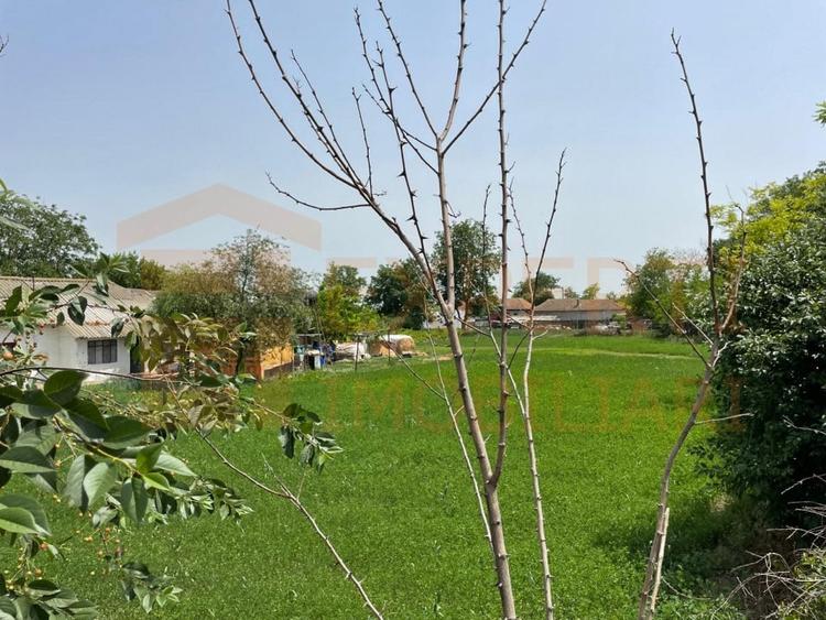 Teren Construcții intravilan de 2581 mp, în Mihail Kogălniceanu