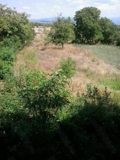 Casă cu 6 camere în Jupa