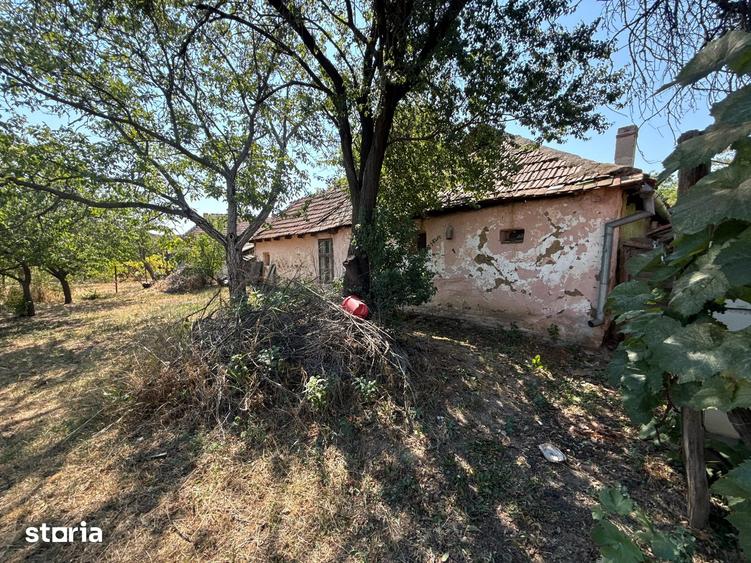 Casă cu 4 camere cu Teren 1381 Mp în Central