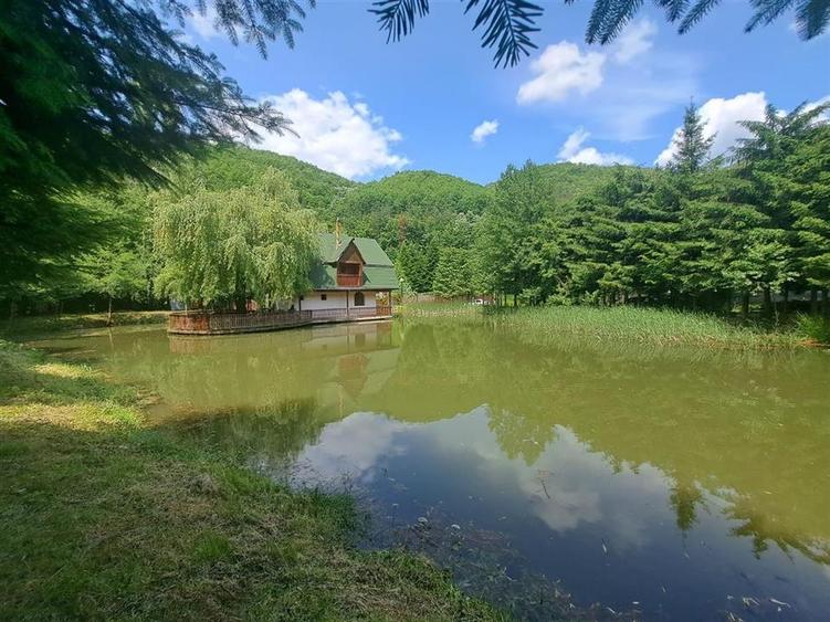 Casă individuală cu 6 camere cu Teren 2455 Mp în Pădurea Neagră