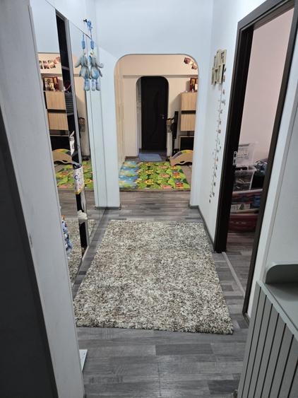 Dristor Vitan, centrala, renovat/mobilat, AC, 2 bai, 2 parcuri, metrou, ParkLake - 12