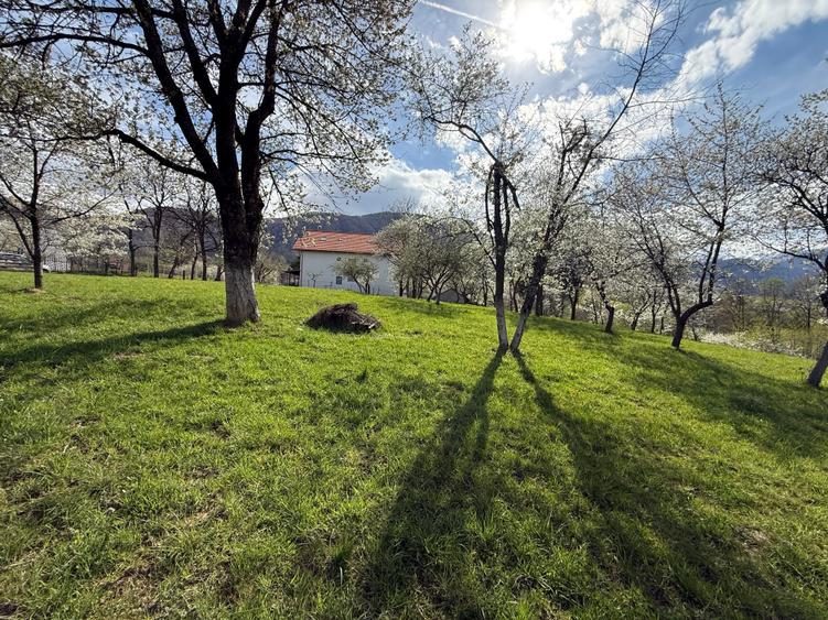 Teren Construcții intravilan de 1355 mp, în Bran