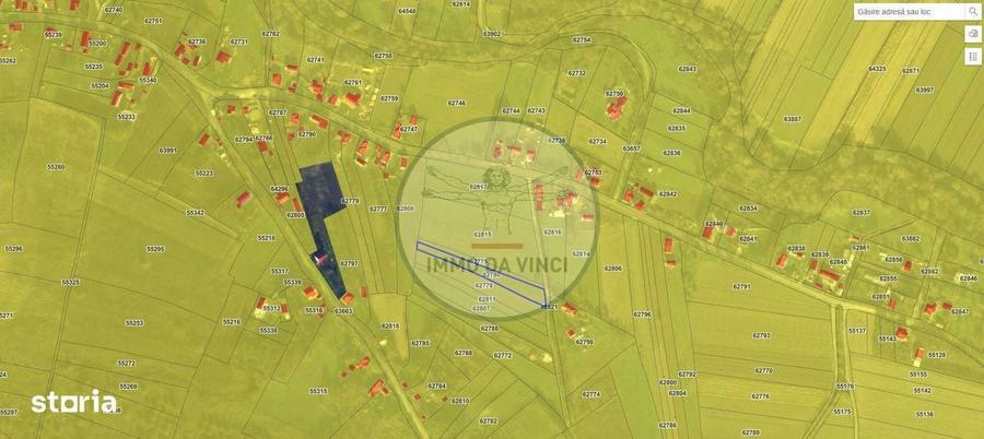 Pachet investitie terenuri Borsa Cluj 37.839 mp | 12.039 mp intravilan - 12