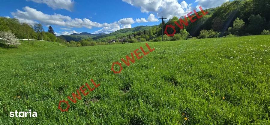 Teren de 6500 mp, în Sita Buzăului