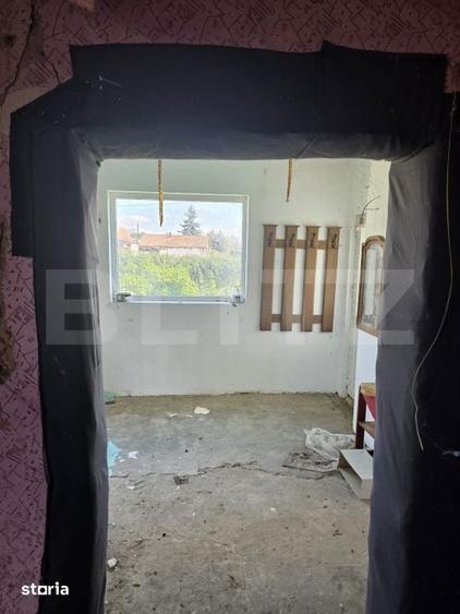 Casă cu 4 camere cu Teren 13000 Mp în Vetiș
