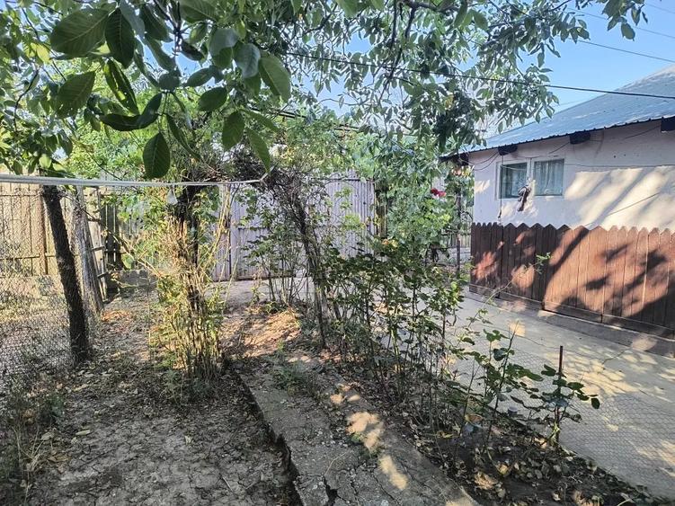 Casă cu 2 camere în Radovan