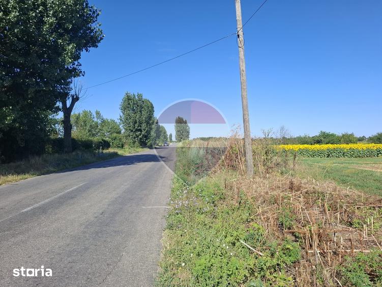 Teren de 28800 mp, în Drăgănescu