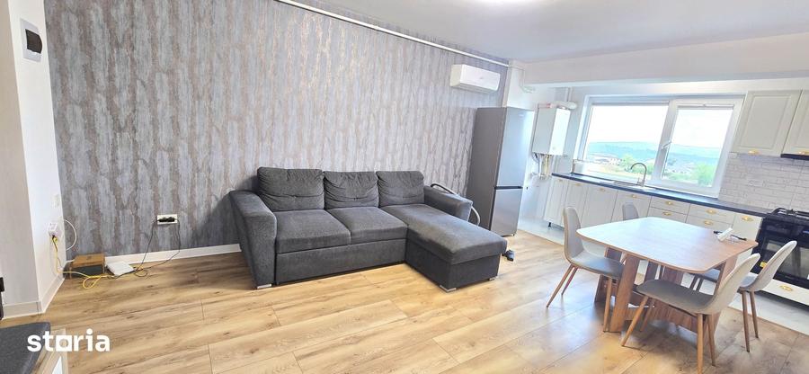 Apartament 2 camere, etaj 1, mobilat, utilat, str Pepinierii V Adanca - 8