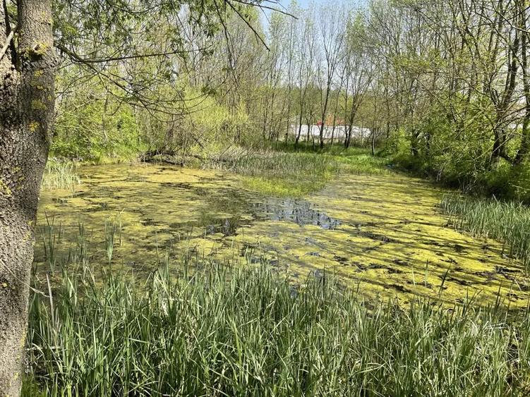 Teren de 5000 mp, în Valea Părului