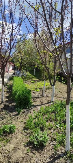 Casă cu 3 camere cu Teren 1000 Mp în Costache Negri
