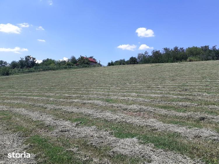 Teren de 8700 mp, în Belciugatele