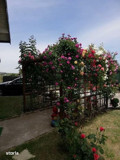 Casă cu 4 camere cu Teren 220 Mp în Mogoșești