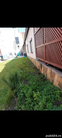 Casă cu 3 camere în Central