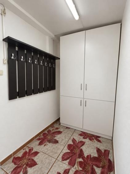 Apartament cu 3 camere decomandat, mobilat în Brazda lui Novac