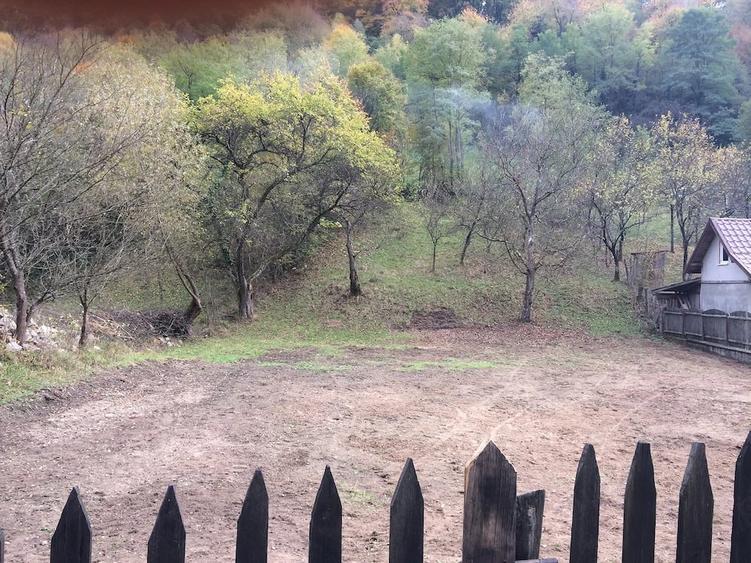 Teren în Sibișel (Beriu)