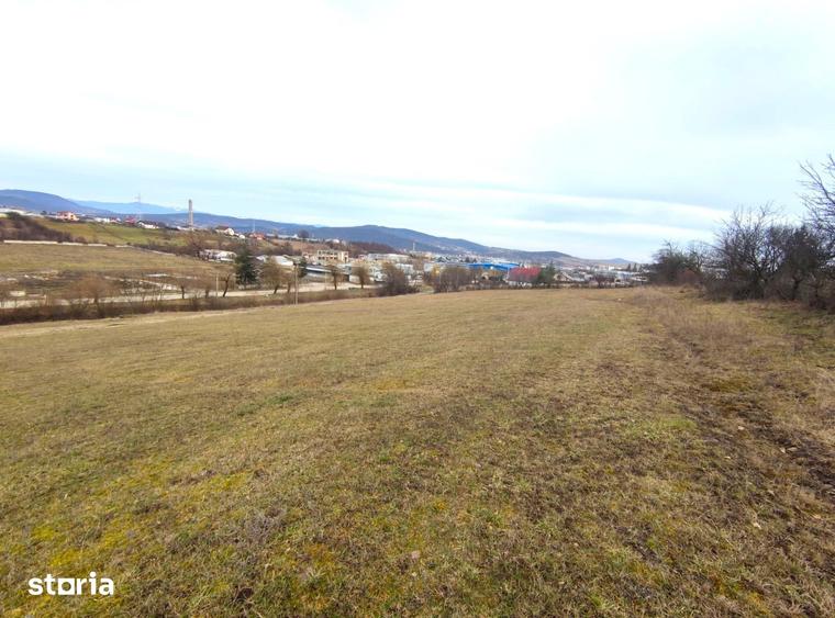 Teren de 6000 mp, în Nord
