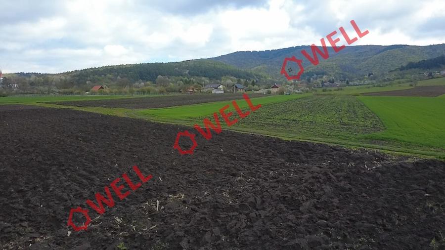Teren intravilan de 5000 mp, în Bicfalău