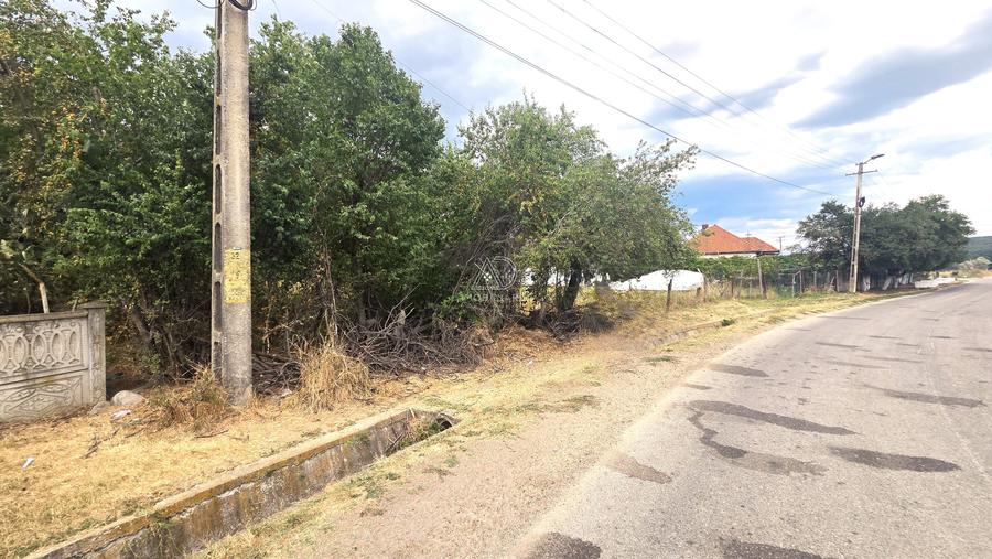 Teren Construcții intravilan de 4553 mp, în Polata