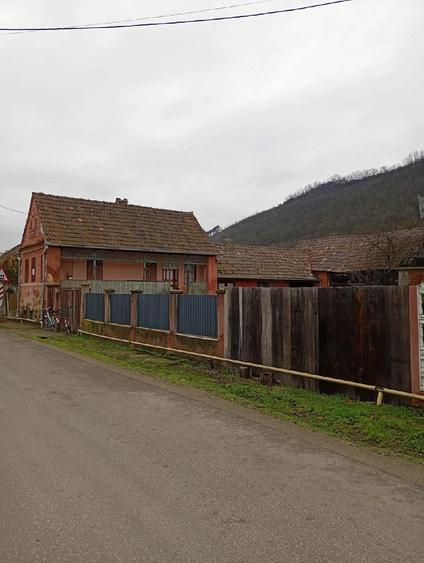 Vand gospodarie tradi?ionala cu casa ?i curte - 3