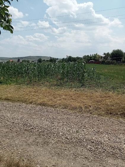 Teren de 2400 mp, în Războieni