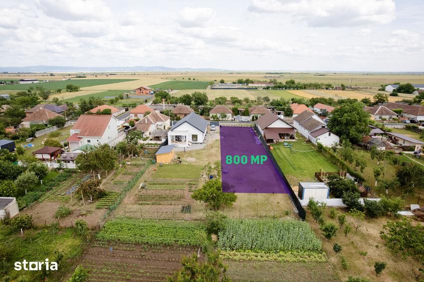 Teren de 800 mp, în Zimandu Nou