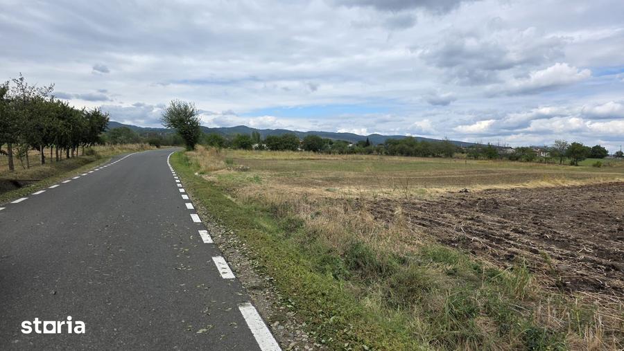 Teren de 3000 mp, în Cârligele