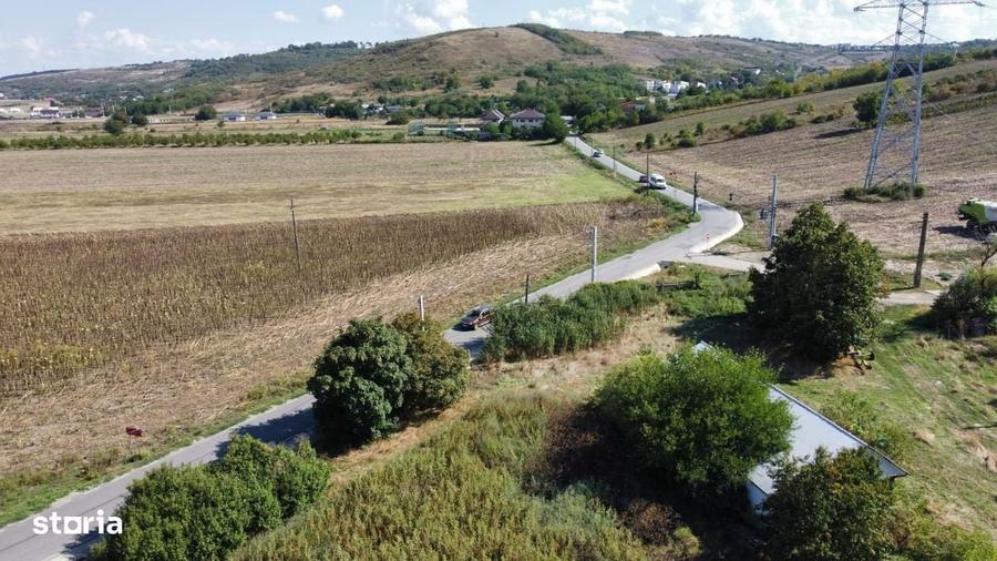 Teren 20900 mp Intravilan Miroslava Uricani la strada 48 euro/mp - 4