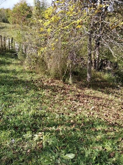 Vand teren intravilan livada si faneata - 1