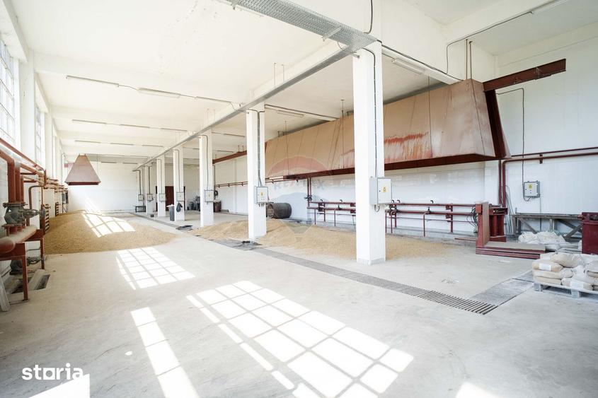 Spațiu comercial, de 3,139 mp, în Răducăneni